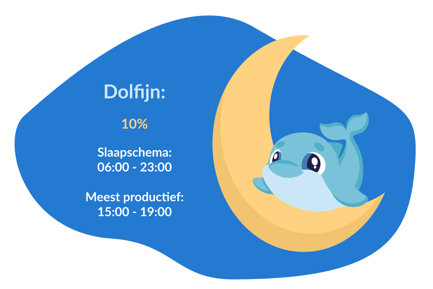 chronotype zijn
